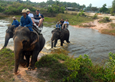 רכיבה על פילים בתאילנד